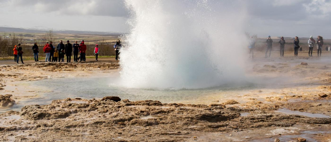 Geyser in Iceland