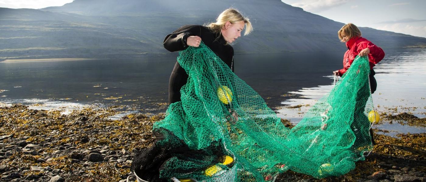 Marine Biology at the University of Iceland, Reykjavik