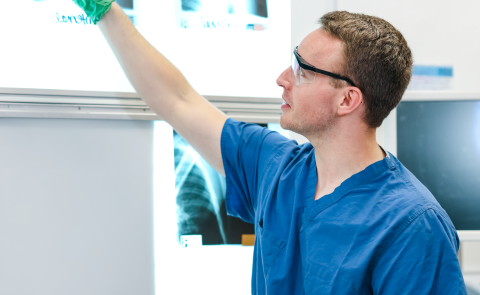 A medical student examines an x-ray